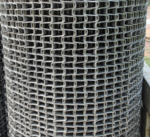 Grillage adapté aux besoins du client de la bande de conveyeur d'acier inoxydable 25mm