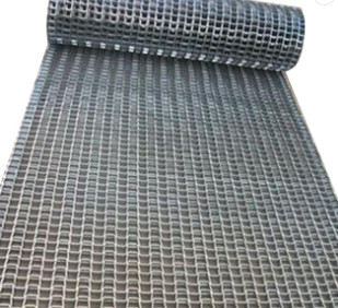 Fil Mesh For Cleaning Drying Conveying de maillon de chaîne d'acier inoxydable