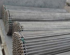 Maille plate à chaînes d'acier inoxydable Flex Belt Metal Belt Conveyor de Tiande