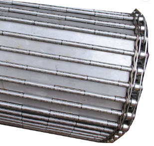 Ceinture réglable de plat à chaînes d'acier inoxydable de vitesse pour la chaîne de montage convoyeur