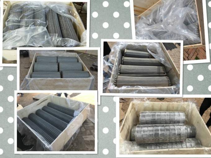 Fabrication Conveyable Mesh Wire de bande de conveyeur d'acier inoxydable de SUS316L 6